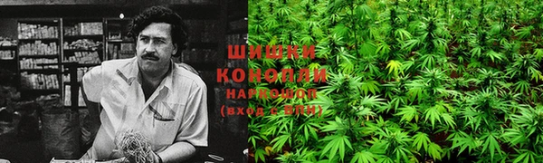 дурь Беломорск