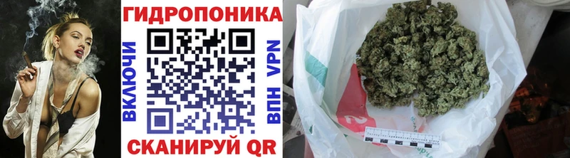 магазин продажи   Великий Новгород  Бошки марихуана гибрид 